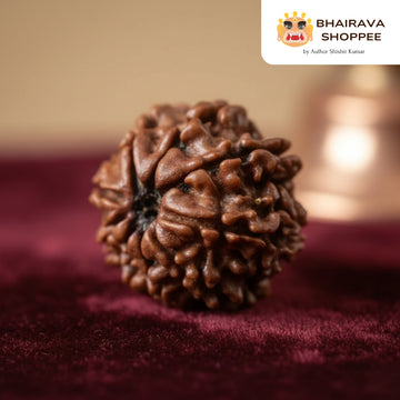 9 Mukhi Nepali Siddh Rudraksha | Rare Nav Durga Rudraksha for Power & Spiritual Awakening