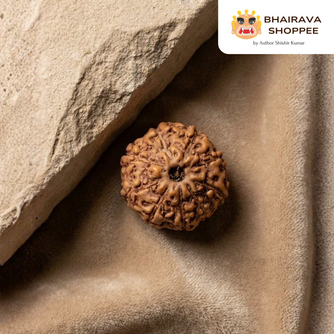 9 Mukhi Indonesian Rudraksha Bead | Siddha by Gurudev Rudranath Ji