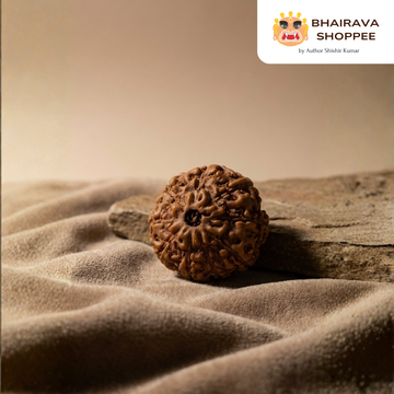 9 Mukhi Indonesian Rudraksha Bead | Siddha by Gurudev Rudranath Ji