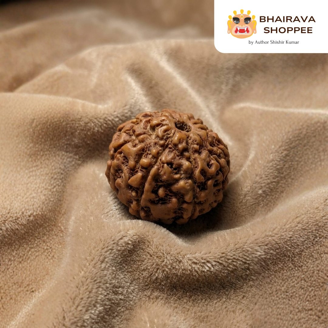 9 Mukhi Indonesian Rudraksha Bead | Siddha by Gurudev Rudranath Ji