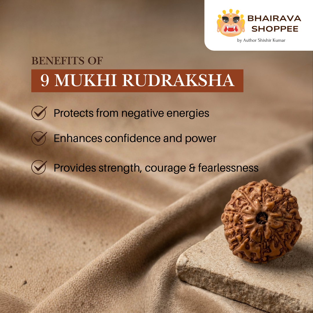 9 Mukhi Indonesian Rudraksha Bead | Siddha by Gurudev Rudranath Ji