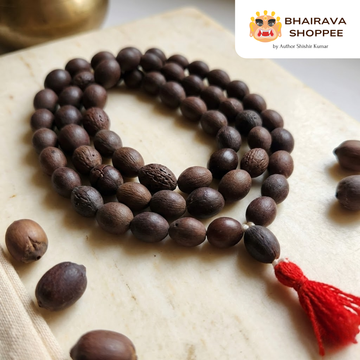 Siddh Natural Kamal Gatta Mala | 108 Lotus Seed Beads for Lakshmi Worship & Prosperity