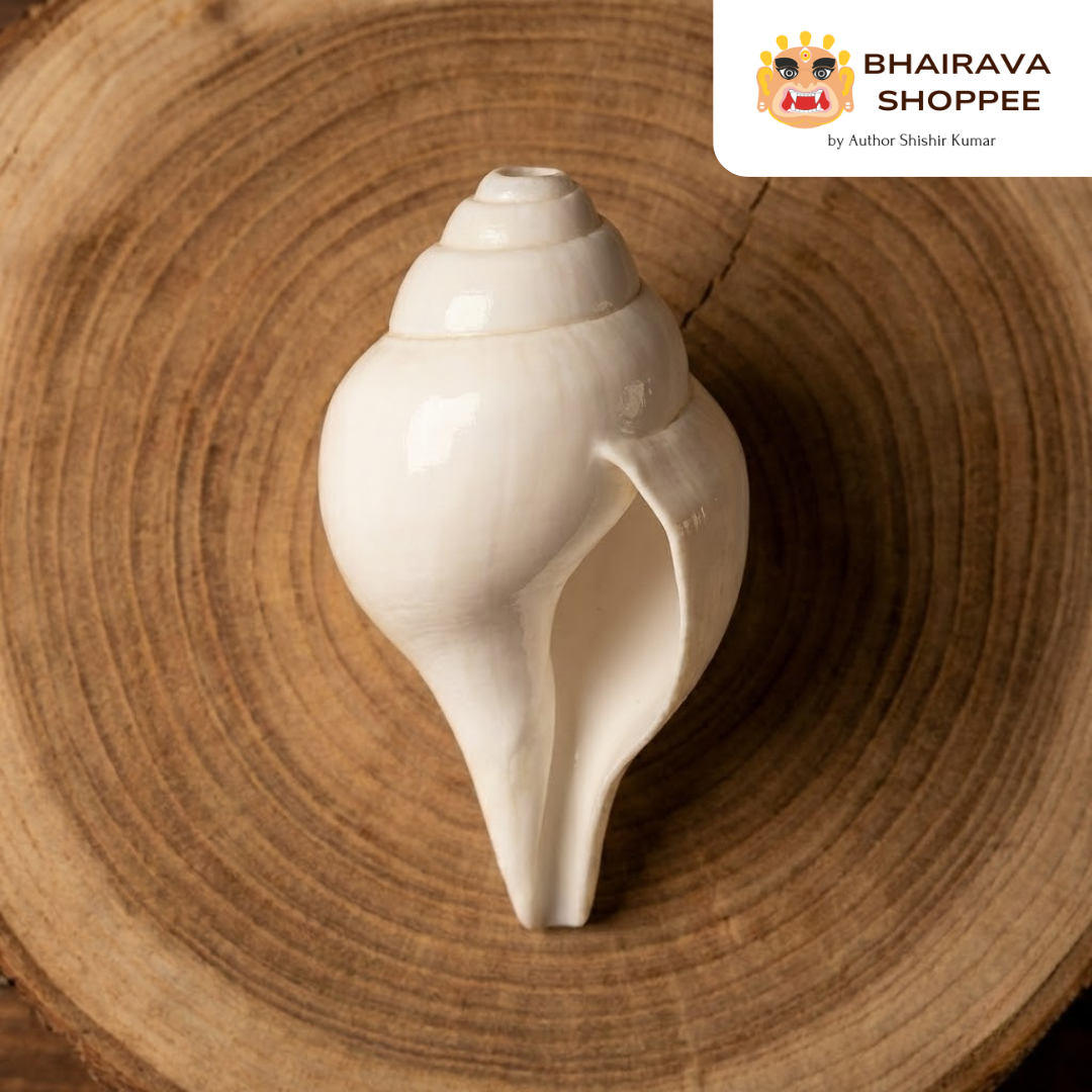 Natural White Puja Blowing Shankh | Loud Sound Conch Shell (4–10 Inch)