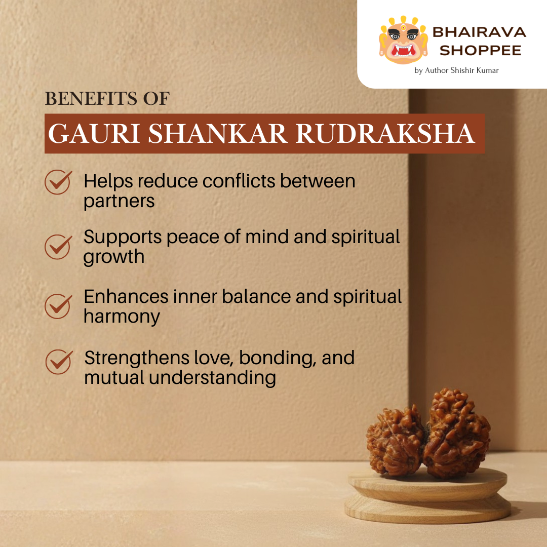 Nepali Gauri Shankar Rudraksha | Sacred Symbol of Shiva–Shakti Unity